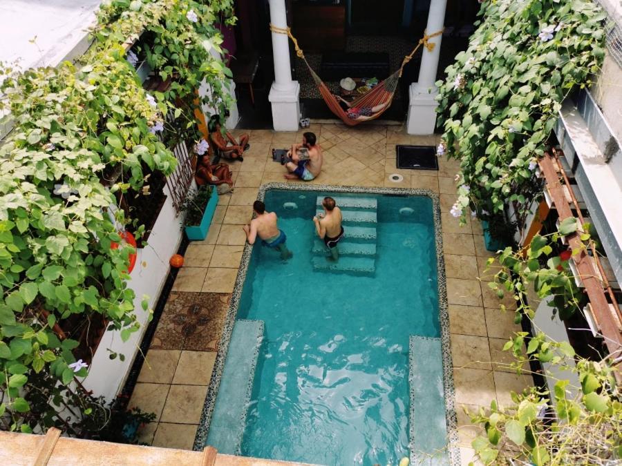 Baboon Hostel サンタ・マルタ エクステリア 写真